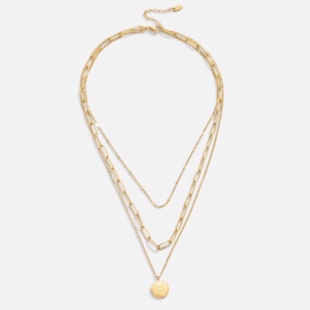 Hayden Jane | Coin Layered Necklace