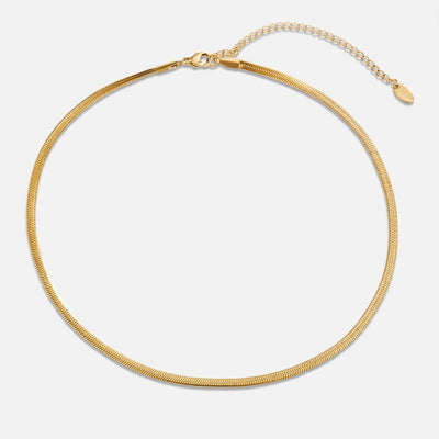Hayden Tatum | Snake Chain Gold Necklace